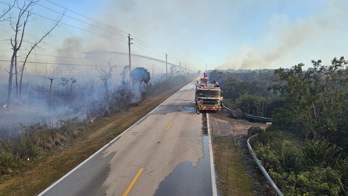 Florida Wildfires Ravage Miami Roads as Climate and Poverty Fuel Tragedy