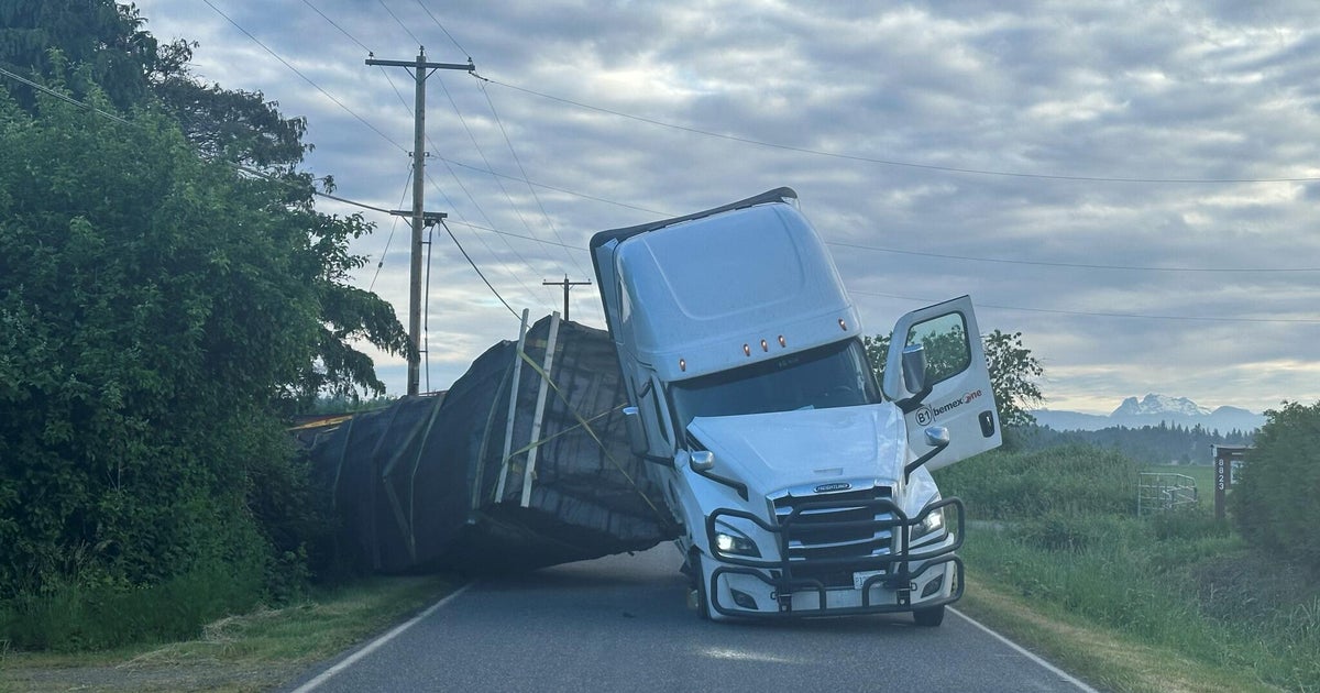250 Million Bees Escape Truck—A Warning for Our Ecosystem